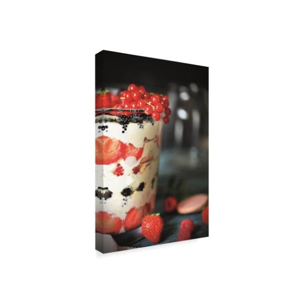 Christine Sainte-Laudy 'Red Fruit Trifle' Canvas Art,16x24